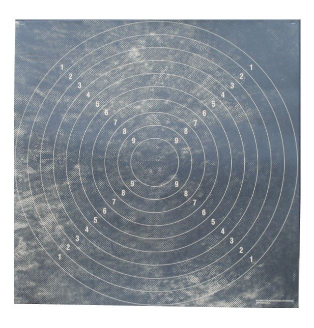 Maalitaulu Hirvitaulunkeskiö 66x66cm 1 kpl - Riistamaalien taulut - 240480 - 1