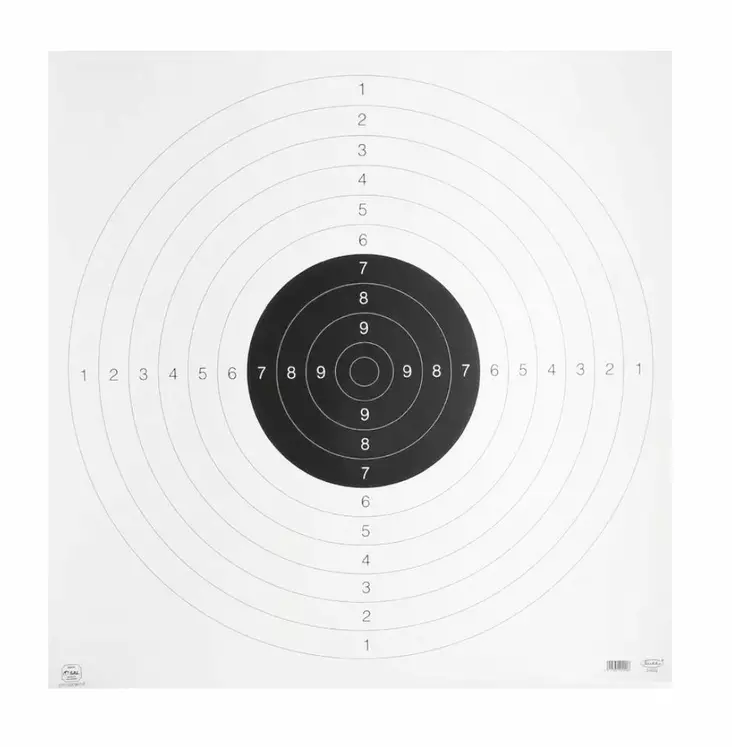 25m Pistol Target 55x55cm - Zeroing targets and classic targets - 240220 - 2