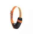 Tracker Luna - Koira GPS - 42811 - 2