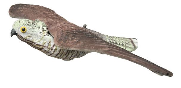 Decoy Hawk/Live Hawk - Decoys - LH001 - 1