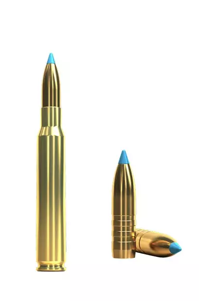 Sellier & Bellot 30-06 10,7g/165gr TXRG eXergy 20kpl - 30-06 Spring. -kiväärinpatruunat - V342102 - 4