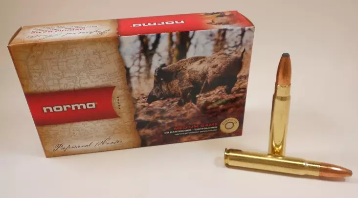 9.3x62 NORMA 18.5g ORYX 20pcs - 9.3x62 rifle cartridges - 20193132 - 1