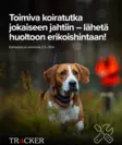 Tracker Service for Devices - Dog GPS - TRACKER-HUOLTO - 1