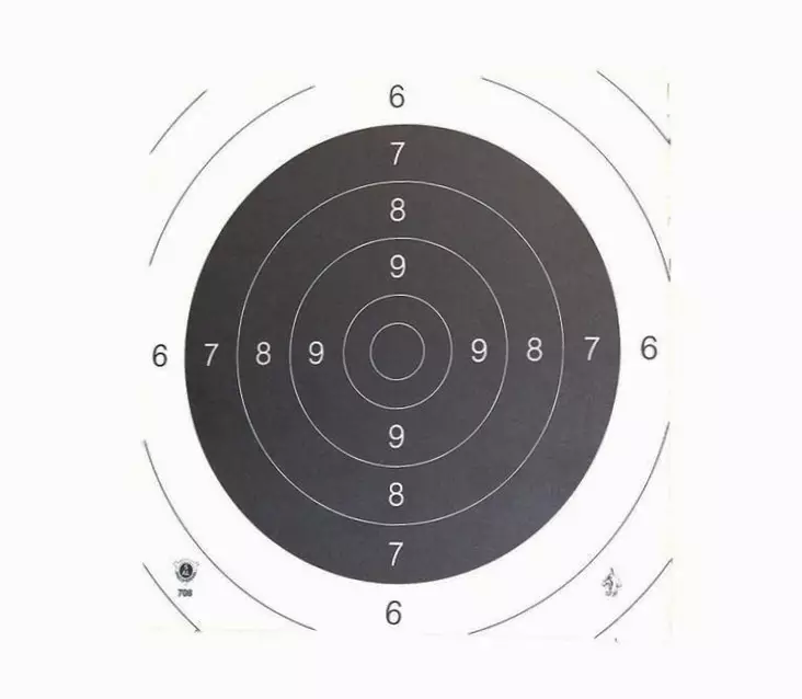 25m Koulutaulun keski=C3=B6 - Zeroing targets and classic targets - SAL-25KESKIO - 2