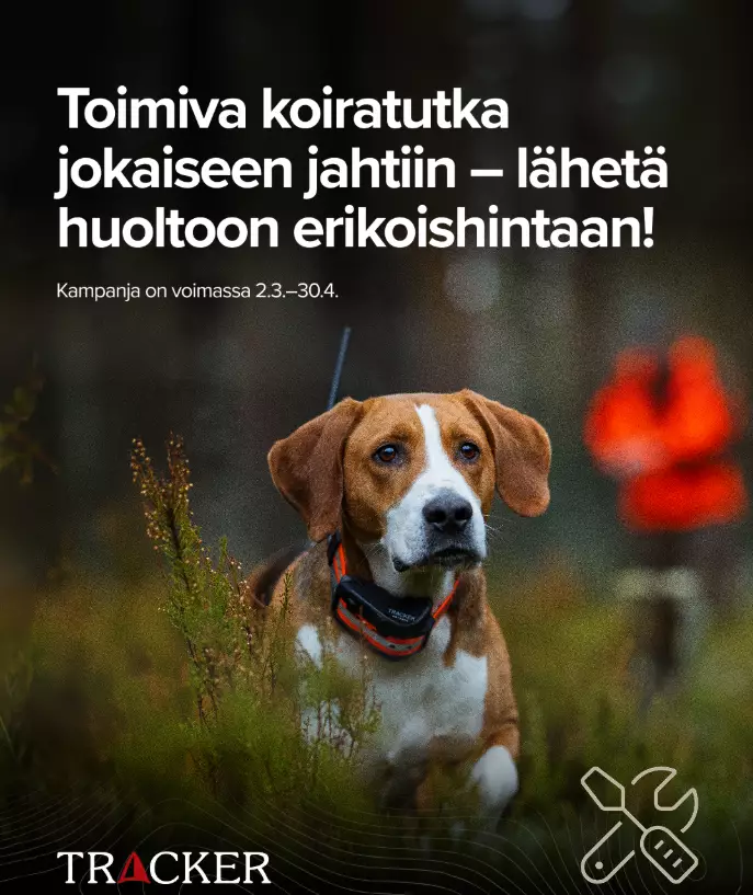 Tracker Service for Devices - Dog GPS - TRACKER-HUOLTO - 1