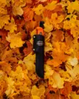 Marttiini Skinner Martef Skinning Knife Orange - Hunting knives - 186024T - 3